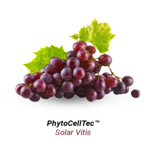 Solar-Vitis